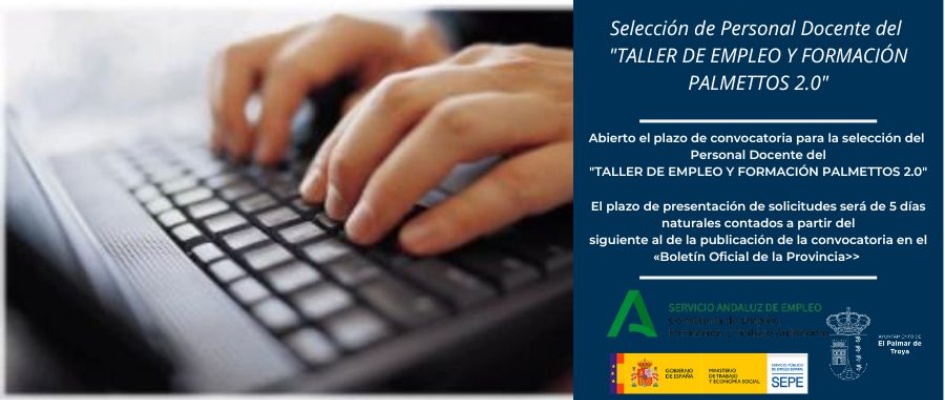 PALMETO DOCENTE