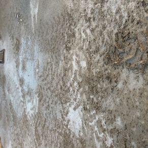 7D2FFD50-53D2-4852-82CA-D52A94ABFE7A