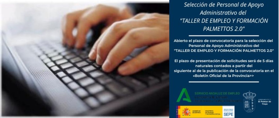 PALMETTO APOYO ADMINISTRACION