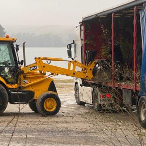 PHOTO-2025-12-03-14-29-56