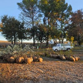 PHOTO-2025-12-03-14-29-56_2