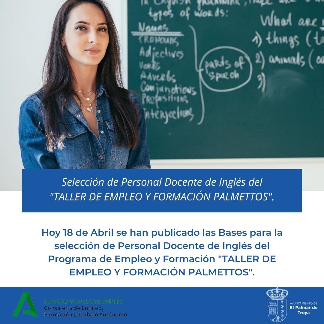 PROGRAMA DE EMPLEO (2)