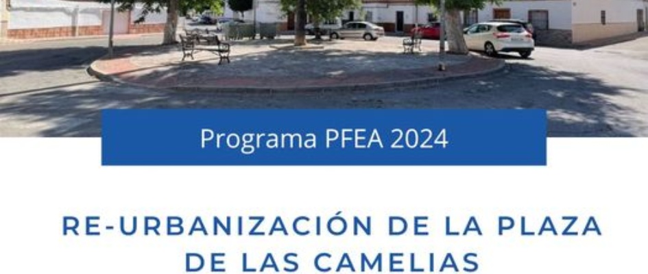 448950139_510055591356061_7783674247905887812_n