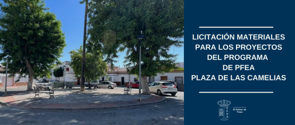 LICITACION MATERIALES PFEA